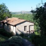 Tuscany Real Estate - Casale da sogno in Toscana   - T VCO 119 3 150x150